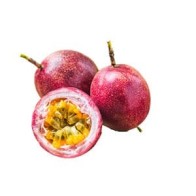 Hummingbird notebook